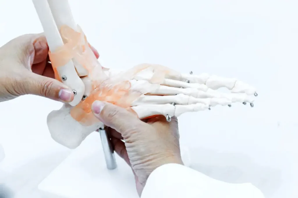 Orthopaedic Surgeons in Delhi 